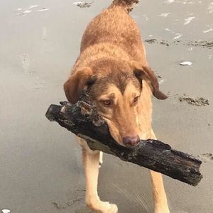 Meet your Posher, Jackie